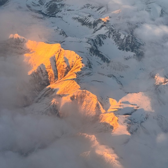 Meet your Posher, Posh - Picture 5 of 6